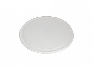 OFERTA X 12 UNIDADES PLATO ASADO 23CM